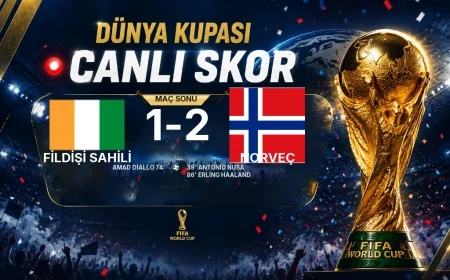 Dünya Kupası: Fildişi Sahili 1-2 Norveç maç özeti