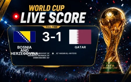 Bosnia and Herzegovina - Qatar 3-1 | Full-time report