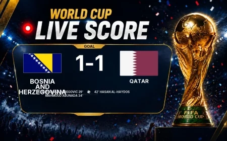 GOAL | Bosnia and Herzegovina 1-1 Qatar — Own goal (34')