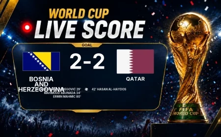 GOAL | Bosnia and Herzegovina 2-2 Qatar — Ermin Mahmic (80')