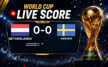 World Cup: Netherlands 2-0 Sweden at half-time