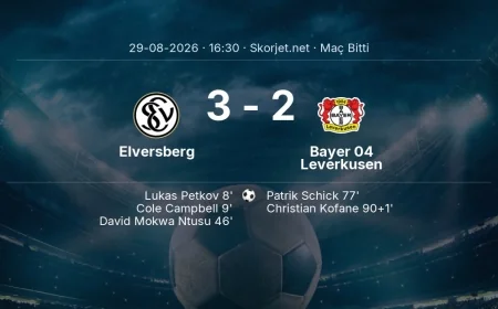 Elversberg 3-2 Bayer 04 Leverkusen - maç özeti | Bundesliga