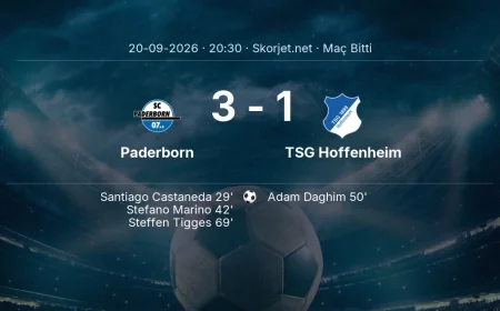 Paderborn 3-1 TSG Hoffenheim - maç özeti | Bundesliga