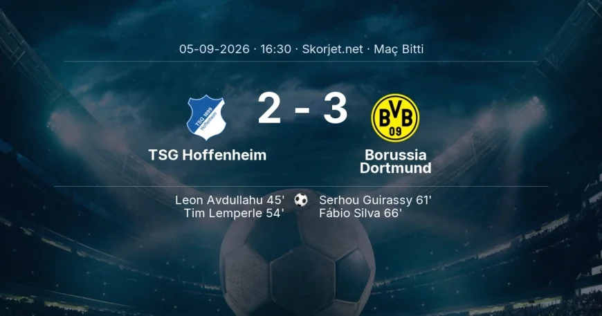 Bundesliga | TSG Hoffenheim 2-3 Borussia Dortmund sonucu