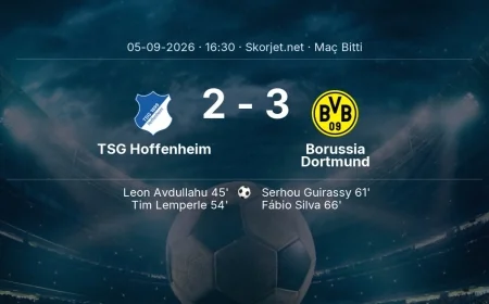 Bundesliga | TSG Hoffenheim 2-3 Borussia Dortmund sonucu