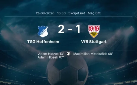 TSG Hoffenheim 2-1 VfB Stuttgart - maç özeti | Bundesliga