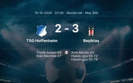TSG Hoffenheim 2-3 Beşiktaş - maç özeti | Avrupa Ligi