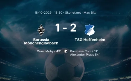 Bundesliga | Borussia Mönchengladbach 1-2 TSG Hoffenheim sonucu
