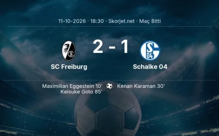 Maç sonucu: SC Freiburg 2-1 Schalke 04 | Bundesliga