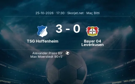Maç sonucu: TSG Hoffenheim 3-0 Bayer 04 Leverkusen | Bundesliga