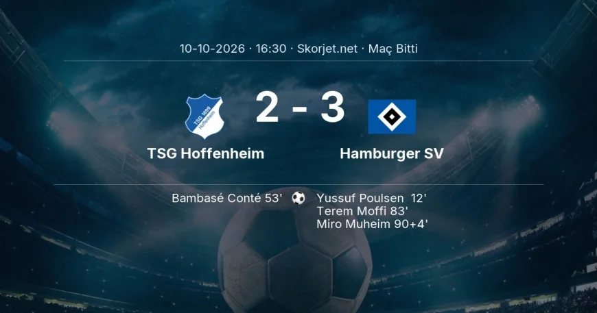 TSG Hoffenheim 2-3 Hamburger SV - maç özeti | Bundesliga