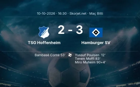 TSG Hoffenheim 2-3 Hamburger SV - maç özeti | Bundesliga
