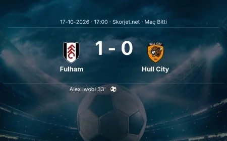 Fulham 1-0 Hull City - maç özeti | Premier Lig