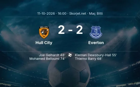 Hull City 2-2 Everton - maç özeti | Premier Lig
