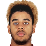 Willem Geubbels